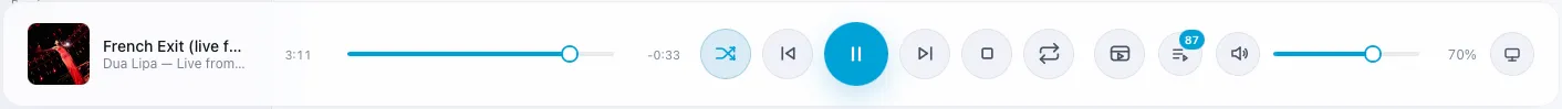 Playback bar